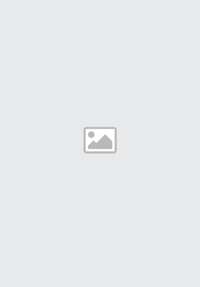 Test-Artikel